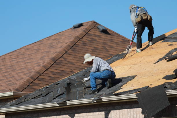 Best Roof Coating and Sealing  in Lake Meade, PA